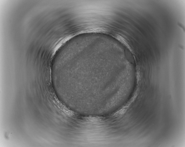 X0000099400781200805291209