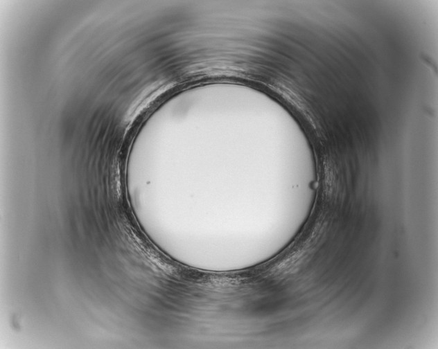 X0000099400782200805291209