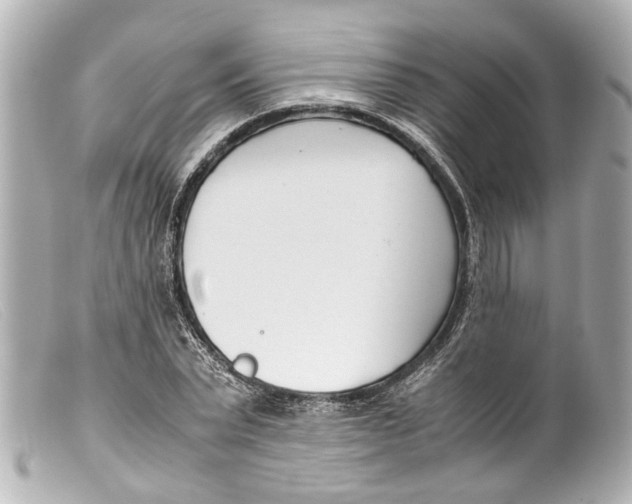 X0000099400783200805291209