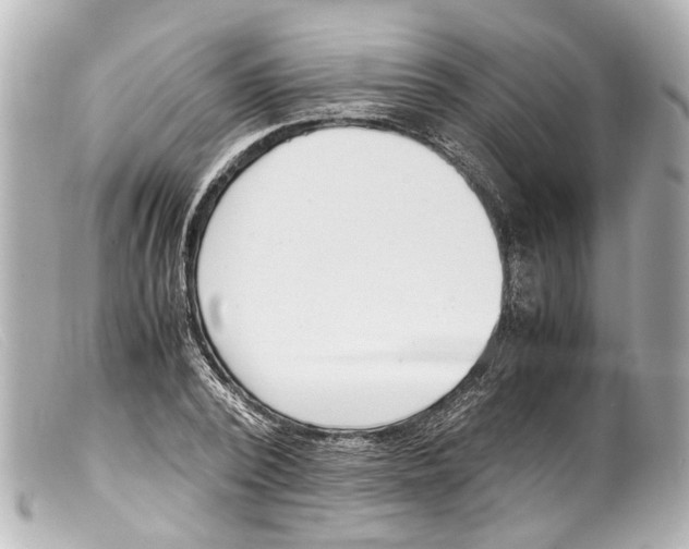 X0000099400784200805291209