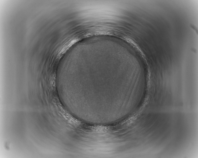 X0000099400785200805291209