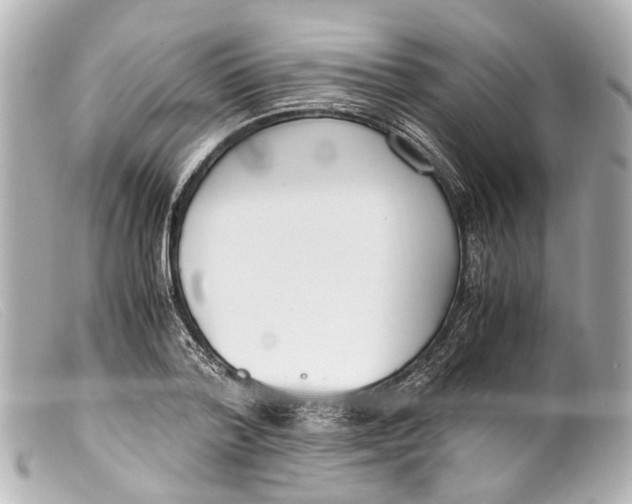 X0000099400788200805291209