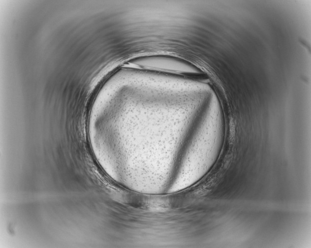 X0000099400789200805291209