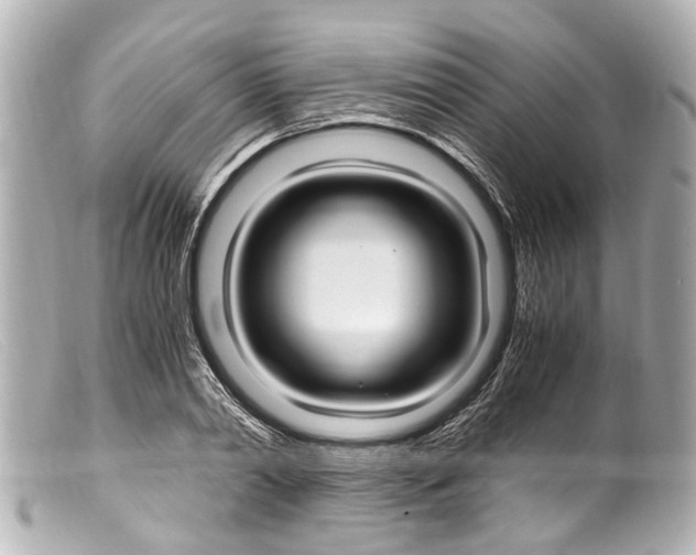 X0000099400790200805291209