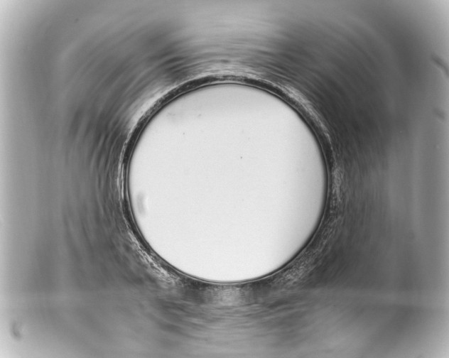 X0000099400791200805291209