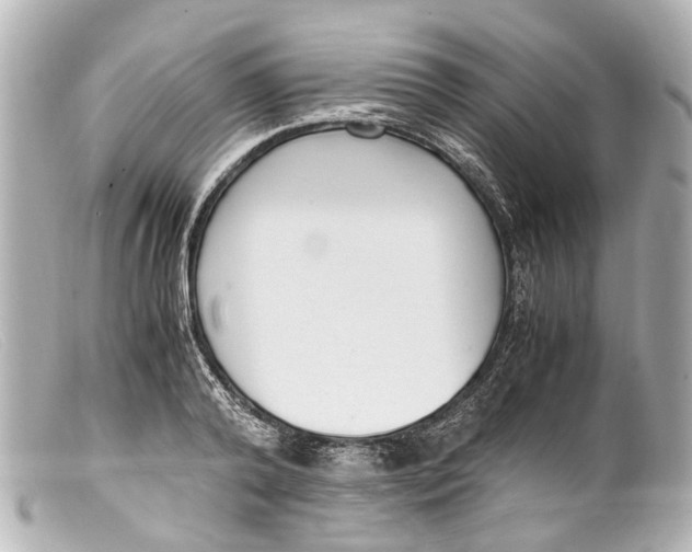 X0000099400792200805291209