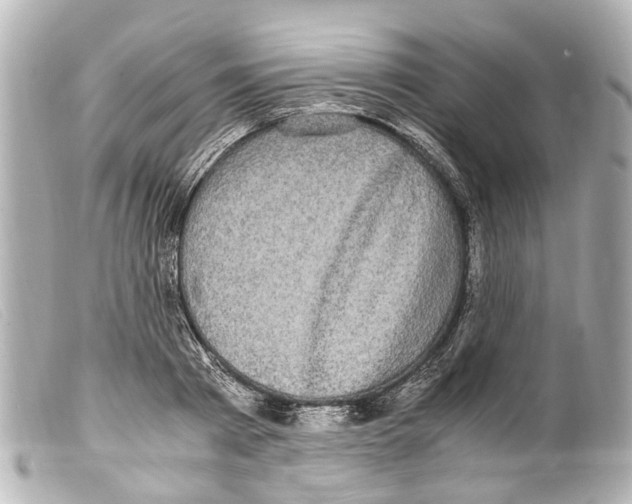 X0000099400793200805291209