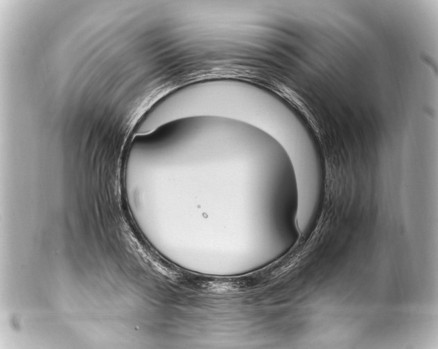 X0000099400794200805291209