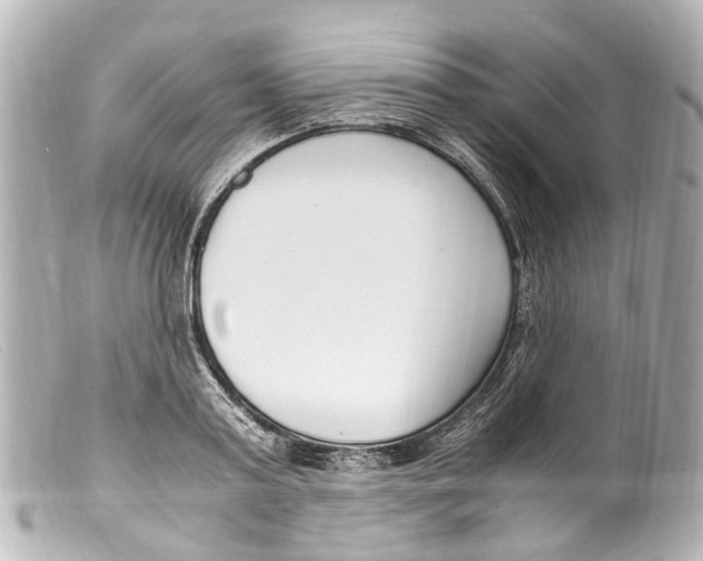 X0000099400795200805291209