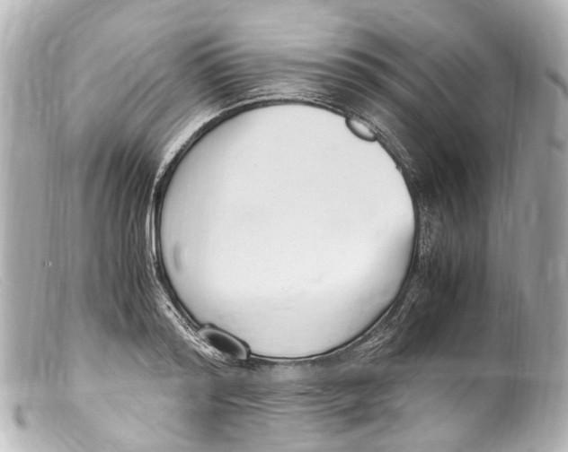 X0000099400796200805291209