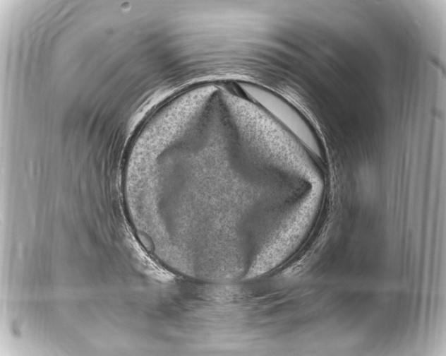 X0000099400797200805291209