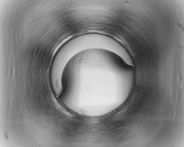 X0000099400798200805291209