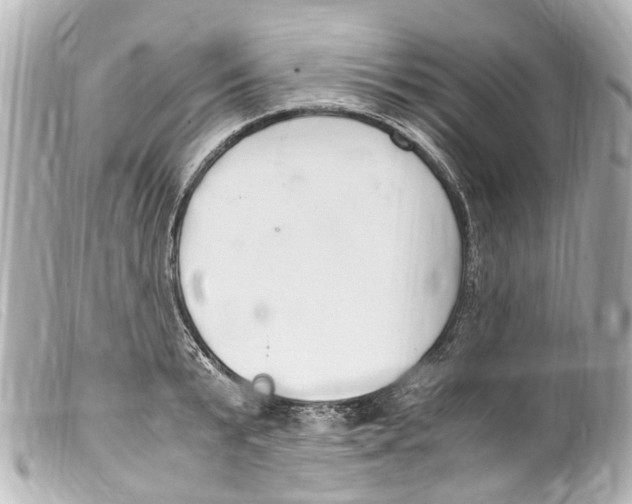 X0000099400799200805291209