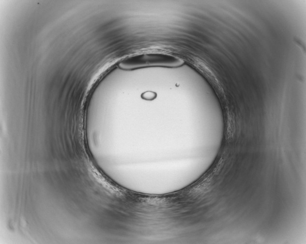 X0000099400800200805291209