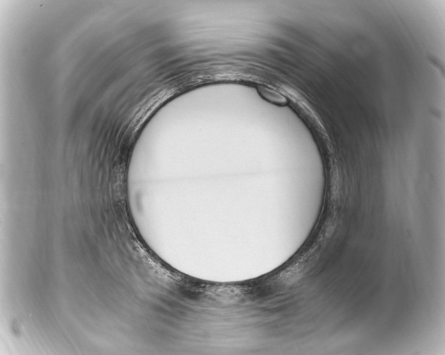 X0000099400801200805291209