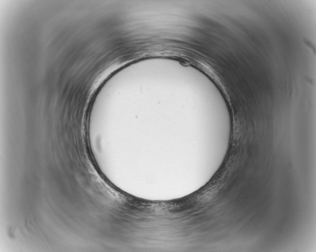 X0000099400803200805291209