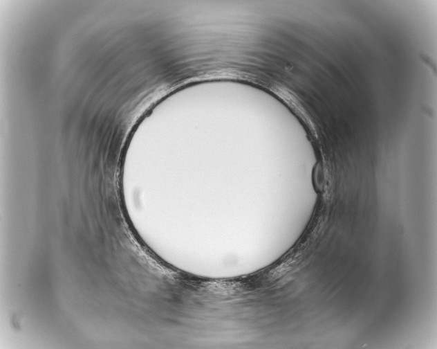 X0000099400805200805291209