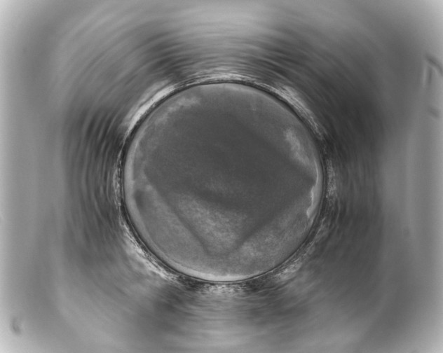 X0000099400806200805291209