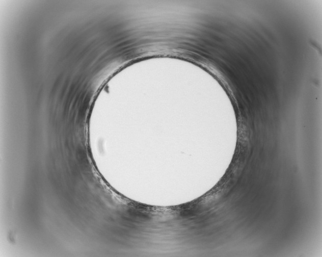 X0000099400807200805291209