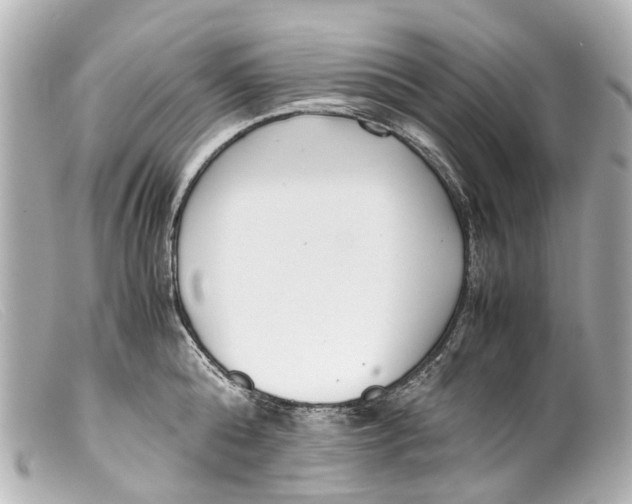 X0000099400808200805291209