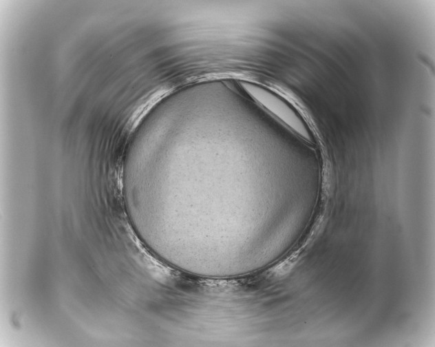 X0000099400809200805291209