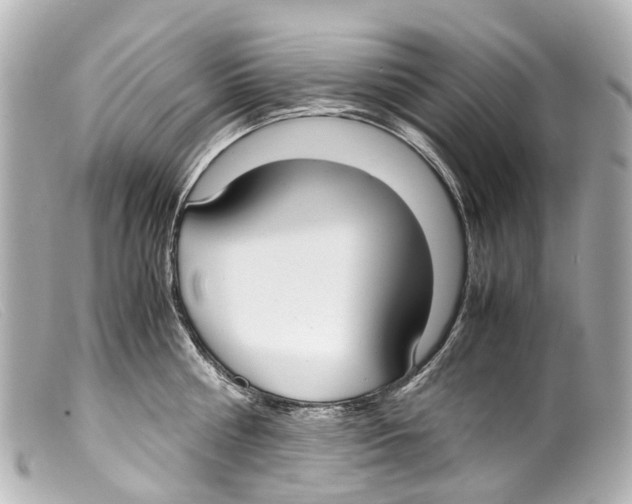 X0000099400810200805291209