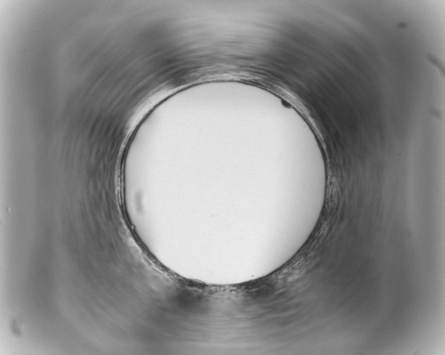 X0000099400811200805291209