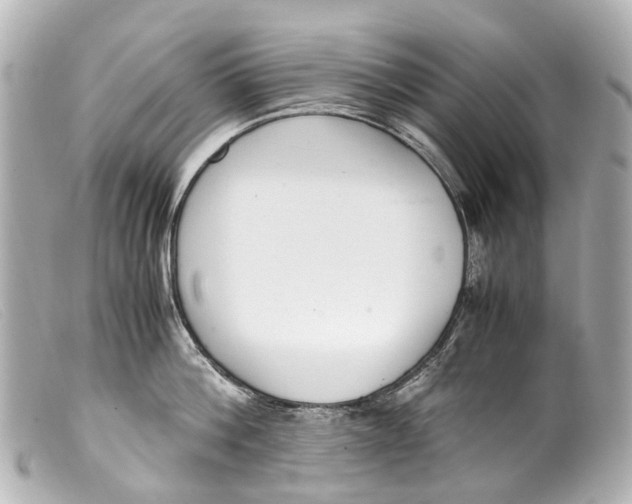 X0000099400812200805291209