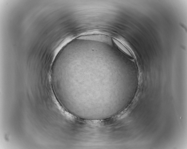 X0000099400813200805291209