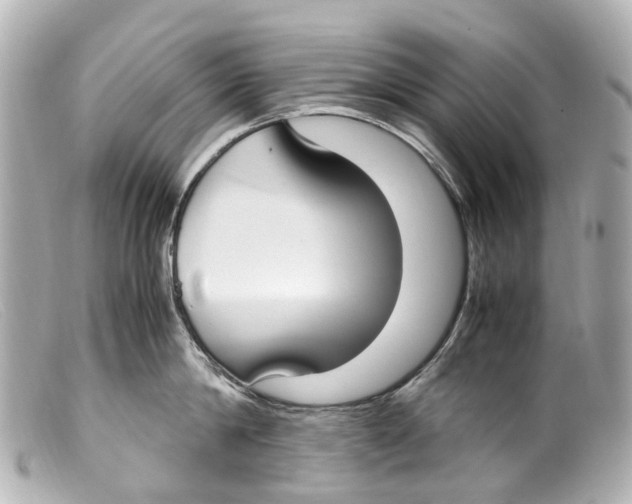 X0000099400814200805291209