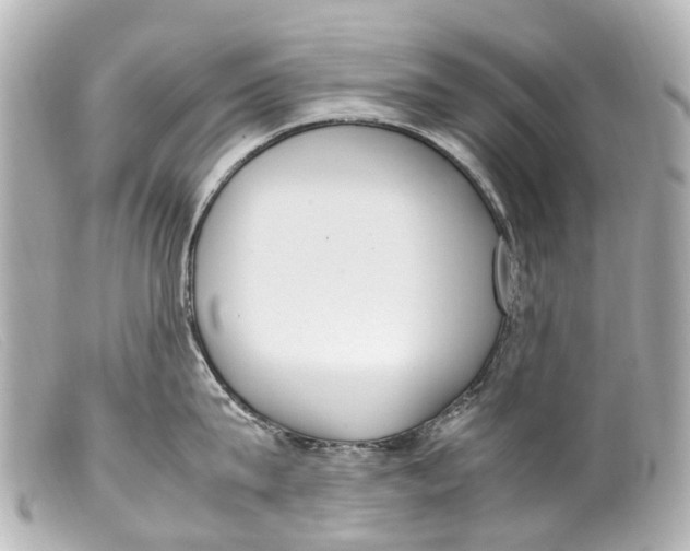 X0000099400815200805291209