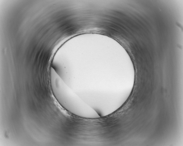 X0000099400816200805291209