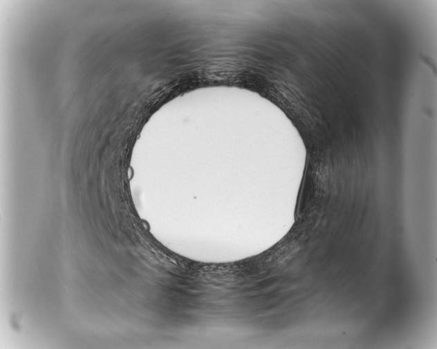 X0000099400817200805291208