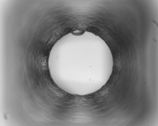 X0000099400818200805291208