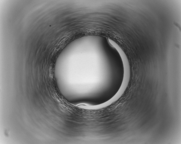 X0000099400819200805291208