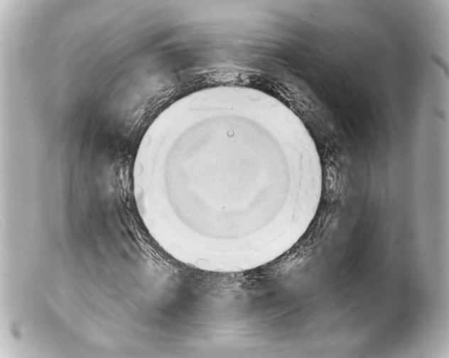 X0000099400820200805291208