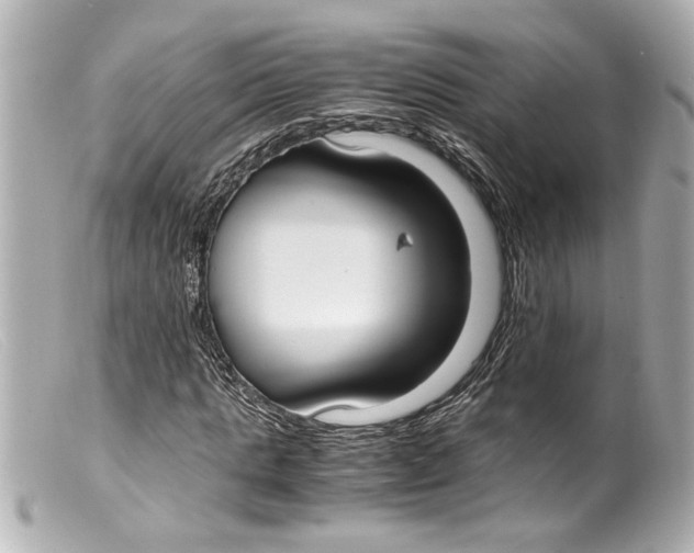 X0000099400821200805291208