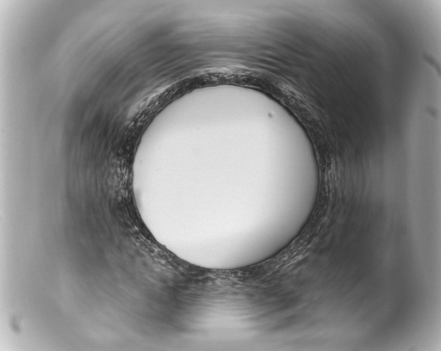 X0000099400822200805291208