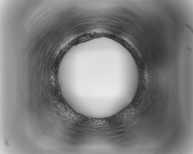 X0000099400823200805291208