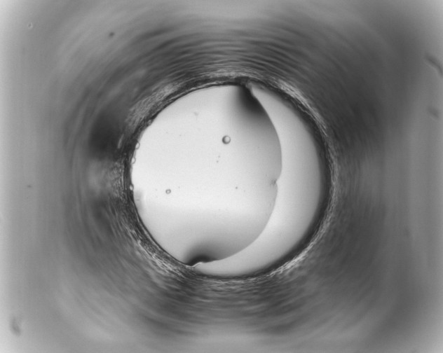 X0000099400825200805291208