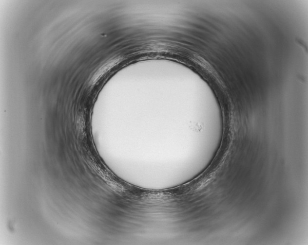 X0000099400826200805291208