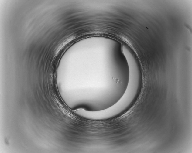 X0000099400827200805291208