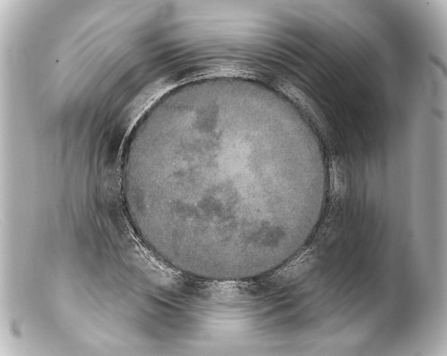 X0000099400828200805291208