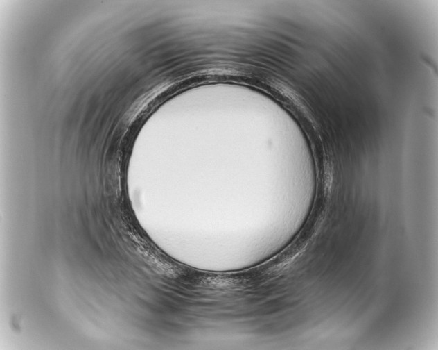 X0000099400829200805291208