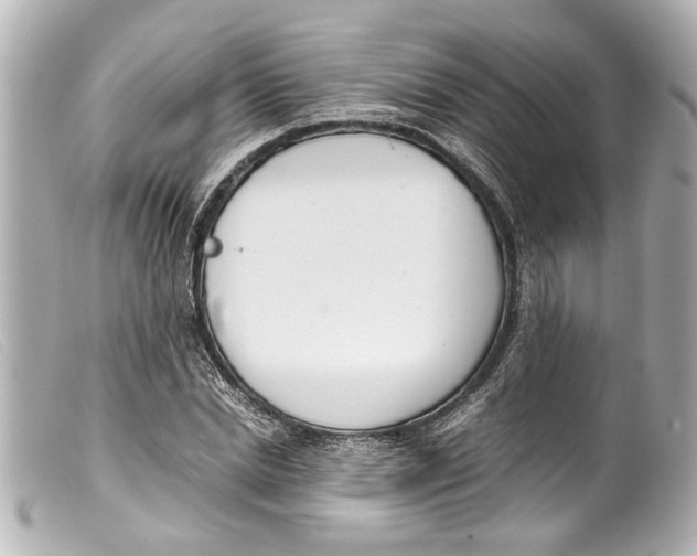 X0000099400830200805291208