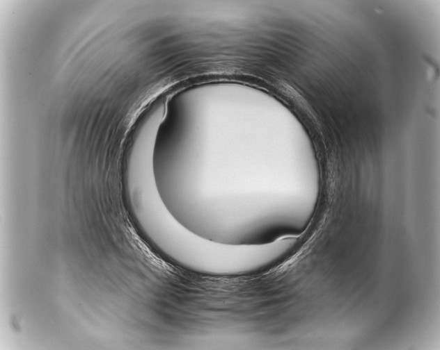 X0000099400831200805291208