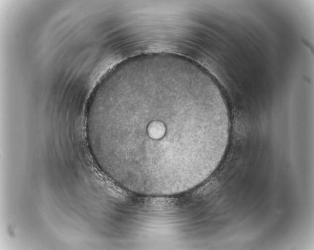 X0000099400832200805291208