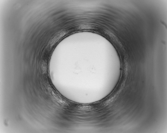 X0000099400833200805291208