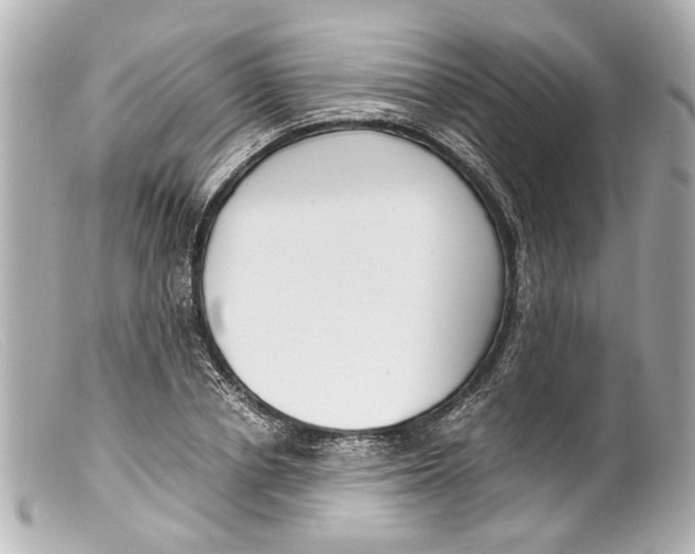 X0000099400834200805291208