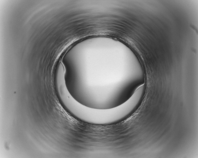 X0000099400835200805291208